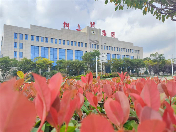 熱烈歡迎參加第十四屆“支洽會”暨萬達(dá)開云農(nóng)業(yè)協(xié)同發(fā)展會議領(lǐng)導(dǎo)和嘉賓代表一行蒞臨重慶樹上鮮集團(tuán)指導(dǎo)工作！