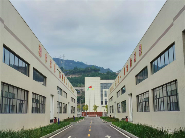 重慶市萬(wàn)州區(qū)政府駱高燕副區(qū)長(zhǎng)一行蒞臨重慶樹(shù)上鮮食品集團(tuán)指導(dǎo)工作！