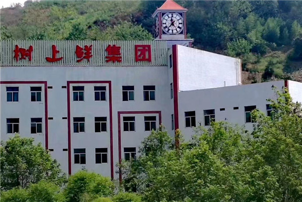 近日，重慶市萬(wàn)州區(qū)委常委、副書(shū)記